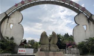 云南墨江双胞胎 云南墨江双胞胎