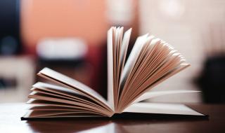 宁波动物园有什么动物 宁波动物园老虎咬人