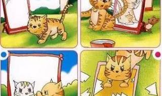 二年级语文质量检侧试卷分析命题分析与评价存在的问题是什么 二年级语文期末试卷