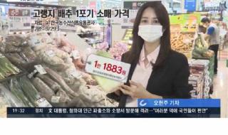 韩国大白菜62元一颗 韩国大白菜62元一颗