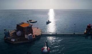 深海狂鲨好看吗 深海狂鲨好看吗