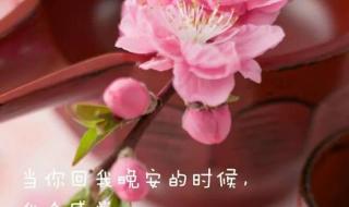 有谁知道如何把网上图片下载的图片上的文字用word打印出来啊 怎么在图片上面加字