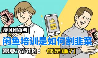 无货源网店怎么开 无货源网店怎么开