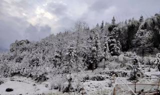 元旦出行天气指南 元旦出行天气指南