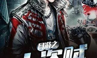 我是个大盗贼 我是个大盗贼