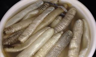 冬笋冻的做法和配料 土笋冻是什么做的