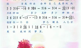 遇上你是我的缘词曲原唱 遇上你是我的缘歌谱