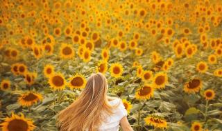 摄影一般要多少钱 摄影一般要多少钱