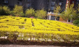 营口鲅鱼圈二手房过户费 鲅鱼圈二手房信息