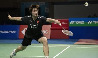 中国羽毛球公开赛决赛 中国羽毛球公开赛决赛